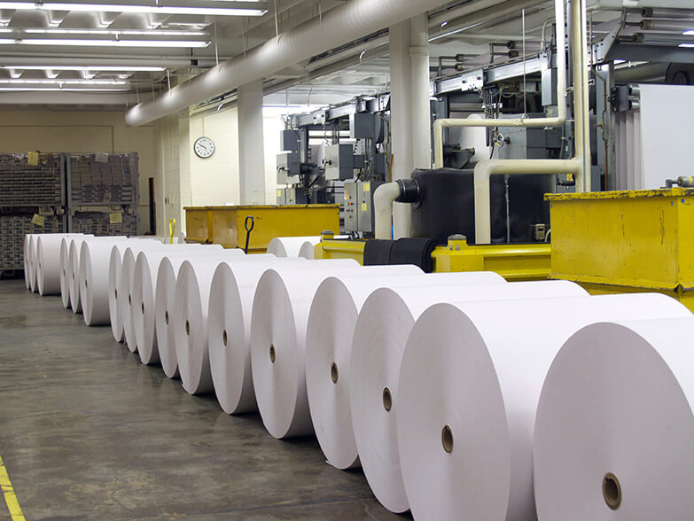 Paper Reel Display